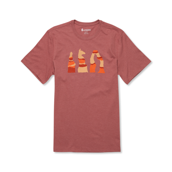 Llama Hoodoo T-Shirt - Men's